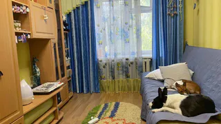 Как охладить свою квартиру летом буквально за 10 минут. Кондиционер не понадобится