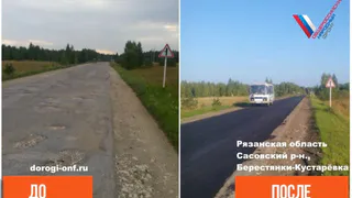 Рязанские активисты добились ремонта дороги в Сасовском районе