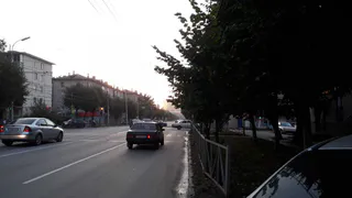 Безопасность под вопросом: на улице Дзержинского светофор не видно из-за дерева