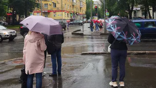 В Рязанскую область придут кратковременные дожди 29 августа