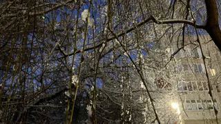 Морозимся: власти предупреждают об аномальных холодах