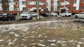 Рязанцев массово штрафуют за парковку на газонах