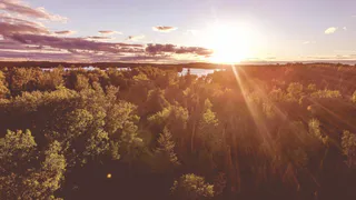 Минприроды Рязани готовит переиздание Красной книги региона