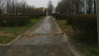 Что с парком Морской славы? Мы подготовили запрос в городскую администрацию