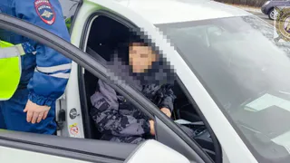 Инспекторы Чувашии задержали беглого преступника, попавшегося при проверке документов