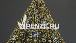 Стала известна дата проведения новогоднего шествия Дедов Морозов в Пензе