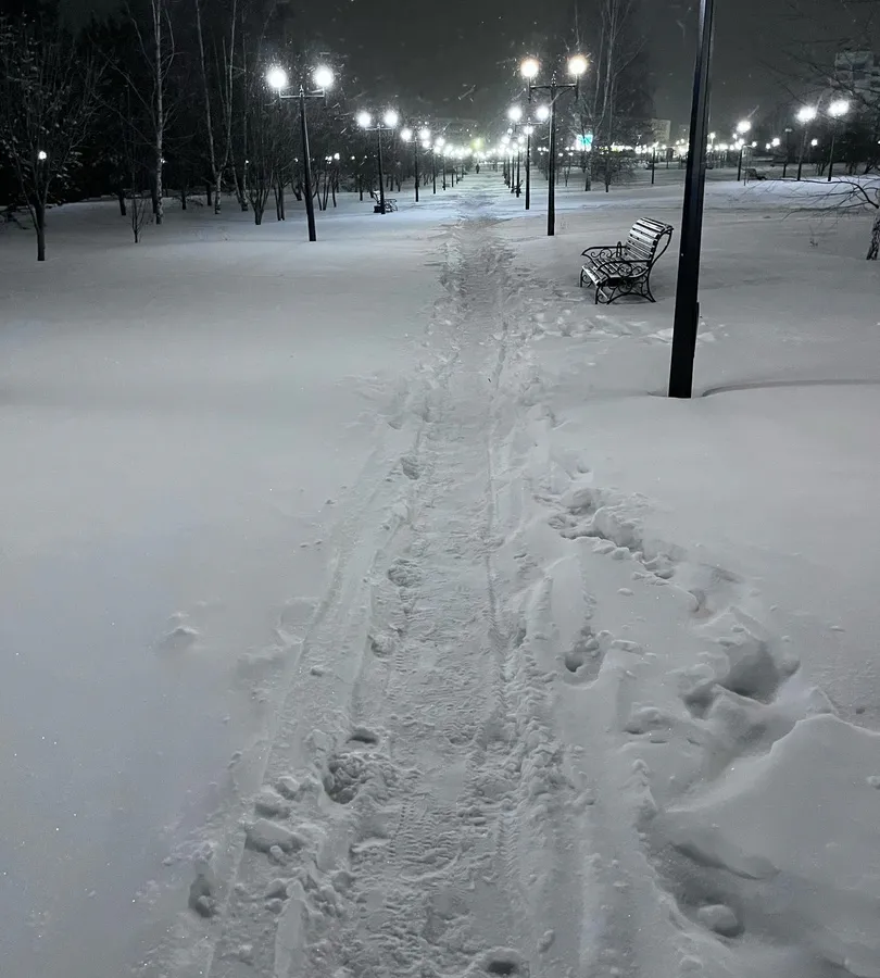 «Узкие тропинки. Люди, пенсионеры ходят и падают…»