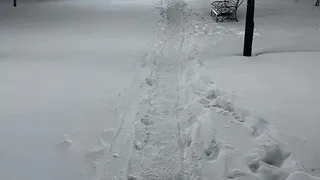 «Узкие тропинки. Люди, пенсионеры ходят и падают…»