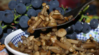 Секретный рецепт маринованных грибов: готовлю так, что за зиму съедается больше 100 банок