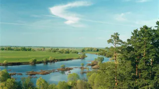 Под Рязанью частично не очистили русло Солотчи