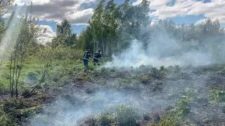 Спасатели Владимирской области потушили пожар площадью 500 кв.м.