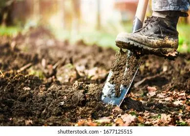 Пять правил, которые нужно соблюдать, перекапывая огород осенью