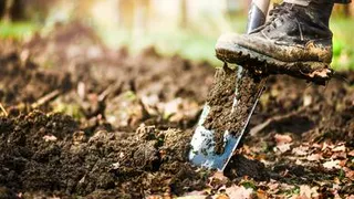 Пять правил, которые нужно соблюдать, перекапывая огород осенью