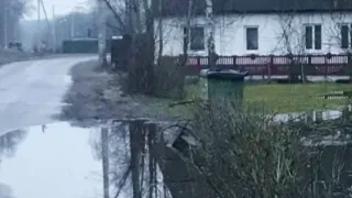 В Брянской области паводок затопил десятки участков и дороги