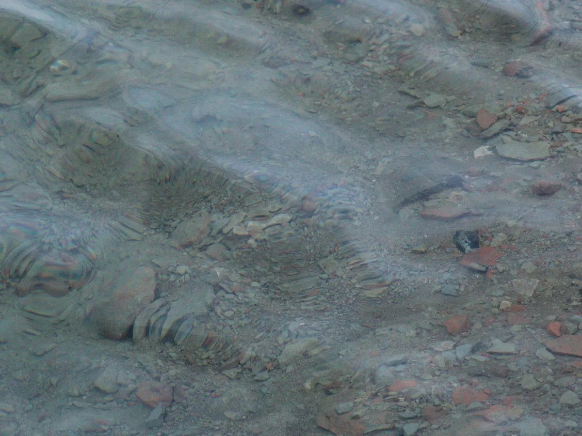 Ученые Челябинской области создают "умные" датчики для мгновенного анализа воды