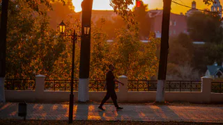 В начале сентября к нам придет бабье лето: новый прогноз