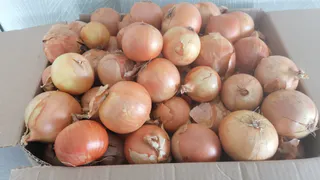 Больше глаза не будет щипать: простой лайфхак, как резать лук и не плакать