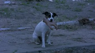 В Нижнекамске начался суд над пенсионером, убившим своего друга, а в последствии надругавшимся над его телом.