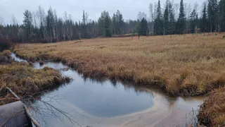 В одном из районов Коми обнаружили разлив нефти