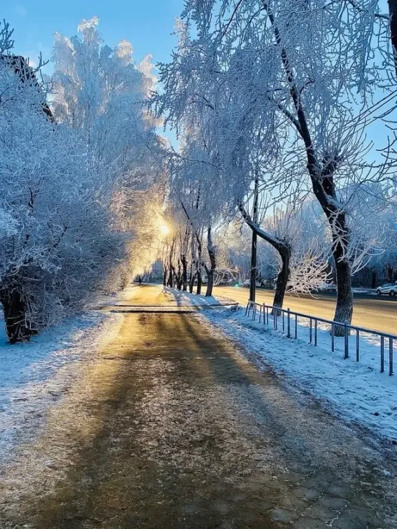 Зима в России отменяется: метеоролог Роман Вильфанд поделился точным прогнозом, будет ли снег на Новый год
