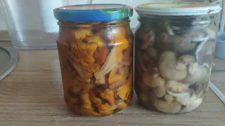 Готовлю универсальный маринад для всех грибов — невероятно вкусно и экономно