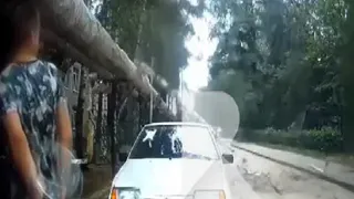 Возле школы №56 В Рязани береза рухнула на дорогу рядом с людьми