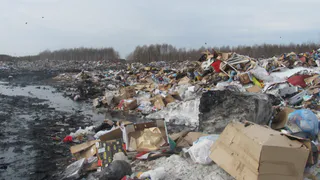 После вмешательства прокуратуры в Коми ликвидировали ряд нелегальных свалок