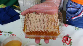 Что изменится: с 1 июня в России вступают в силу новые законы