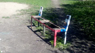 На Великанова скамейки разбили в щепки и подбросили дохлую птицу