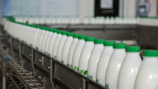 Новые рабочие места: Любимов поручил создать план развития молокоперерабатывающего комплекса