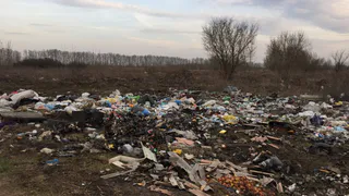 Свалка в Рязанском районе достигла грандиозных масштабов