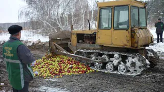 В Рязани открыта «горячая» линия по борьбе с турецкими продуктами на прилавках города 