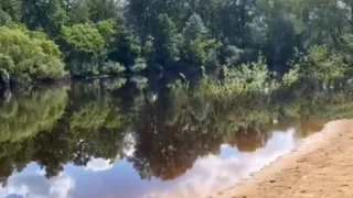 Ученые Коми ищут способ сохранить краснокнижных рыб в водоемах республики