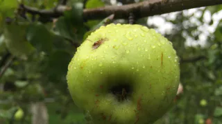 Какие витамины принимать осенью? Советы рязанского эндокринолога