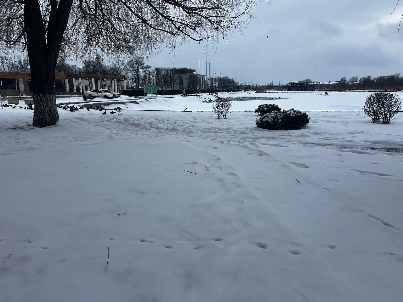 Весной нагрянут аномальные морозы, которые будут хлеще зимних. Синоптики озвучили новый прогноз на март и апрель