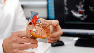 Врач поделился проверенными способами снижения уровня холестерина