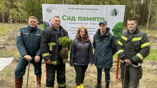 Сотрудники МЧС высадили деревья в память о погибших воинах ВОВ