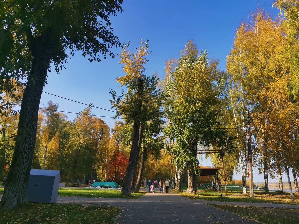 Бабье лето-2024: когда наступит и сколько дней продлится - уже названы точные даты