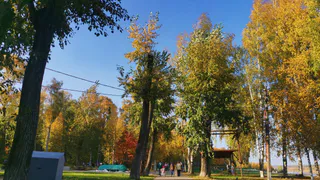 На Южном Урале потеплеет до +8 градусов 14 октября