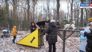 В Чебоксарах построили новую площадку для выгула собак