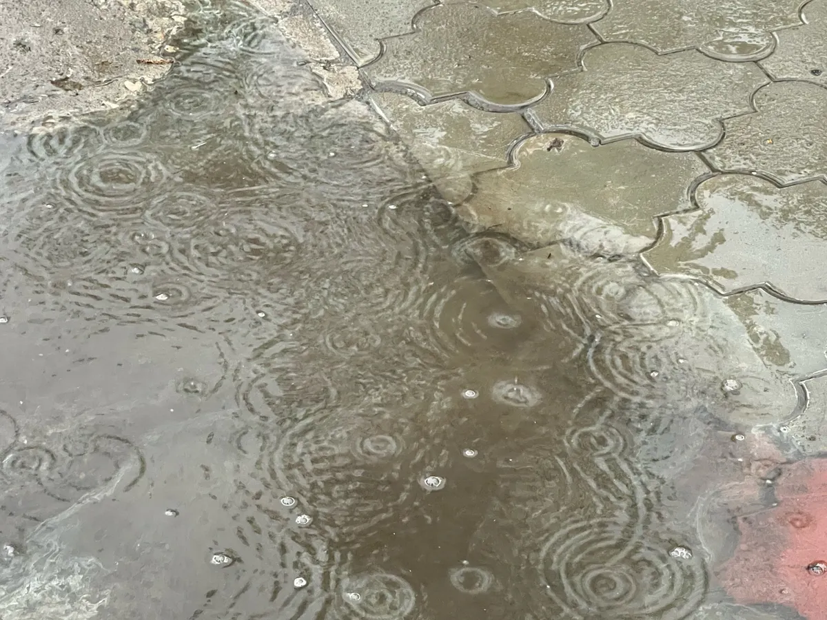 Нас ожидает резкое похолодание в начале сентября - свежий прогноз на неделю