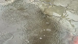 Нас ожидает резкое похолодание в начале сентября - свежий прогноз на неделю