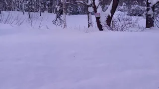 В Селивановском районе из-за навала снега к пожарному пруду не может проехать спецтехника