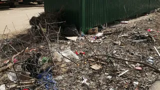 Даже крысы завелись: напротив школы №73 образовалась помойка