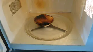 Как заставить микроволновку греть не посуду, а еду - не все знают о такой элементарной хитрости