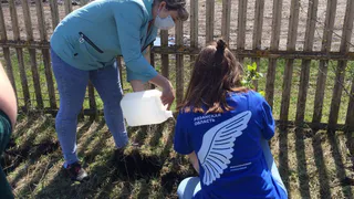 Вспомни о Победе - посади дерево: рязанские волонтеры участвуют в акции "Сад Памяти"