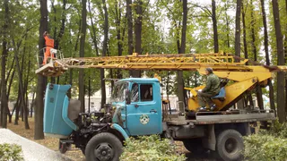 В парке у рязанского Кремля срубили здоровые липы