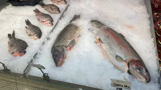 Названа самая полезная для человека рыба — нужно есть несколько раз в неделю. Богата селеном, фосфором и прекрасна на вкус