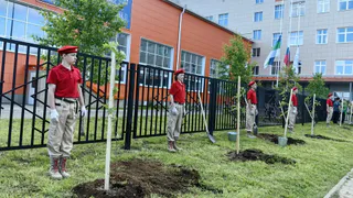 В Коми высадили аллею памяти в честь погибших бойцов СВО