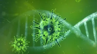 В Брянской области за сутки было подтверждено 75 случаев Covid-19